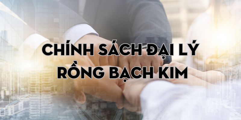 Chính sách đại lý Rồng Bạch Kim