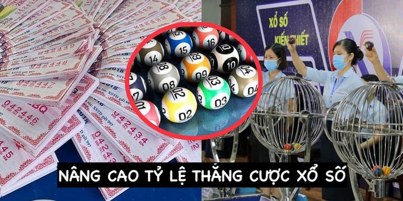 Cách nâng cao khả năng thắng cược cho tân thủ