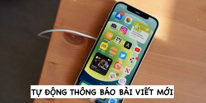 Tính năng thông báo tự động của website